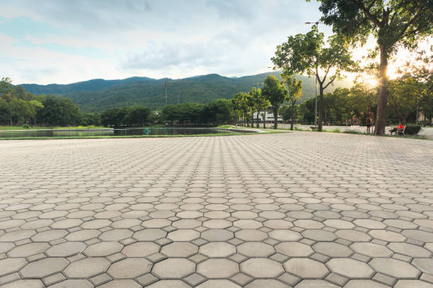 Best Driveway Pavers Near Me  in Norlina, NC
