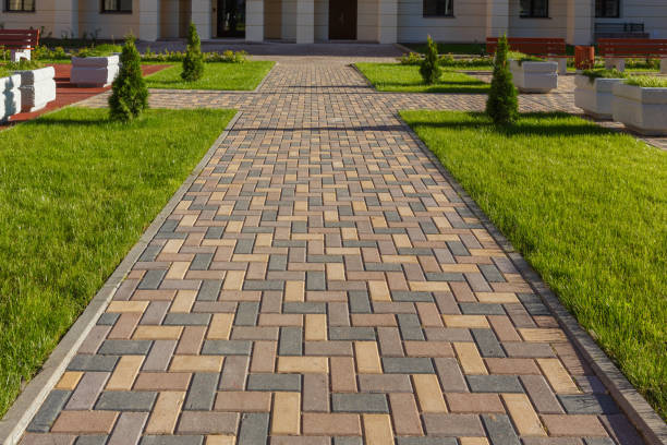 Best Driveway Paving Contractor  in Norlina, NC